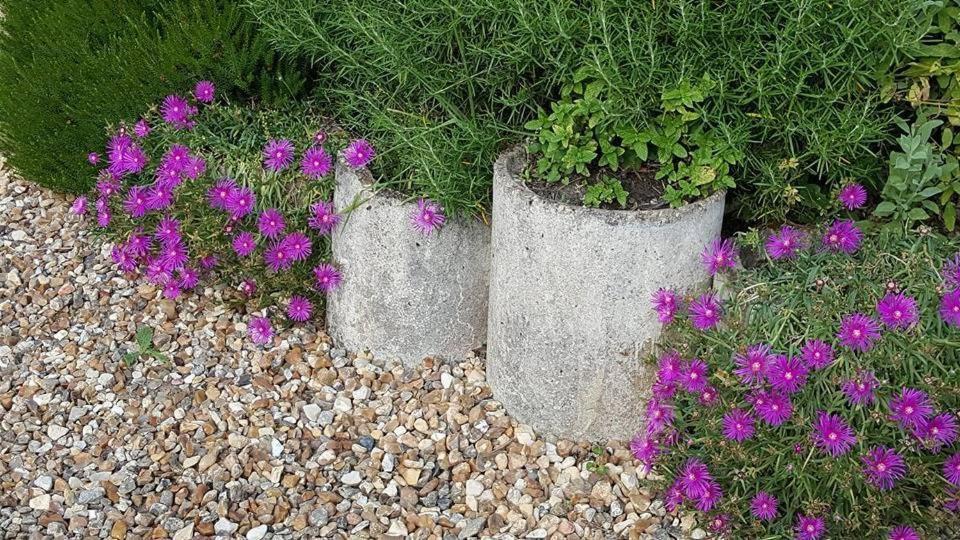 La Berceenne Jupilles Ngoại thất bức ảnh